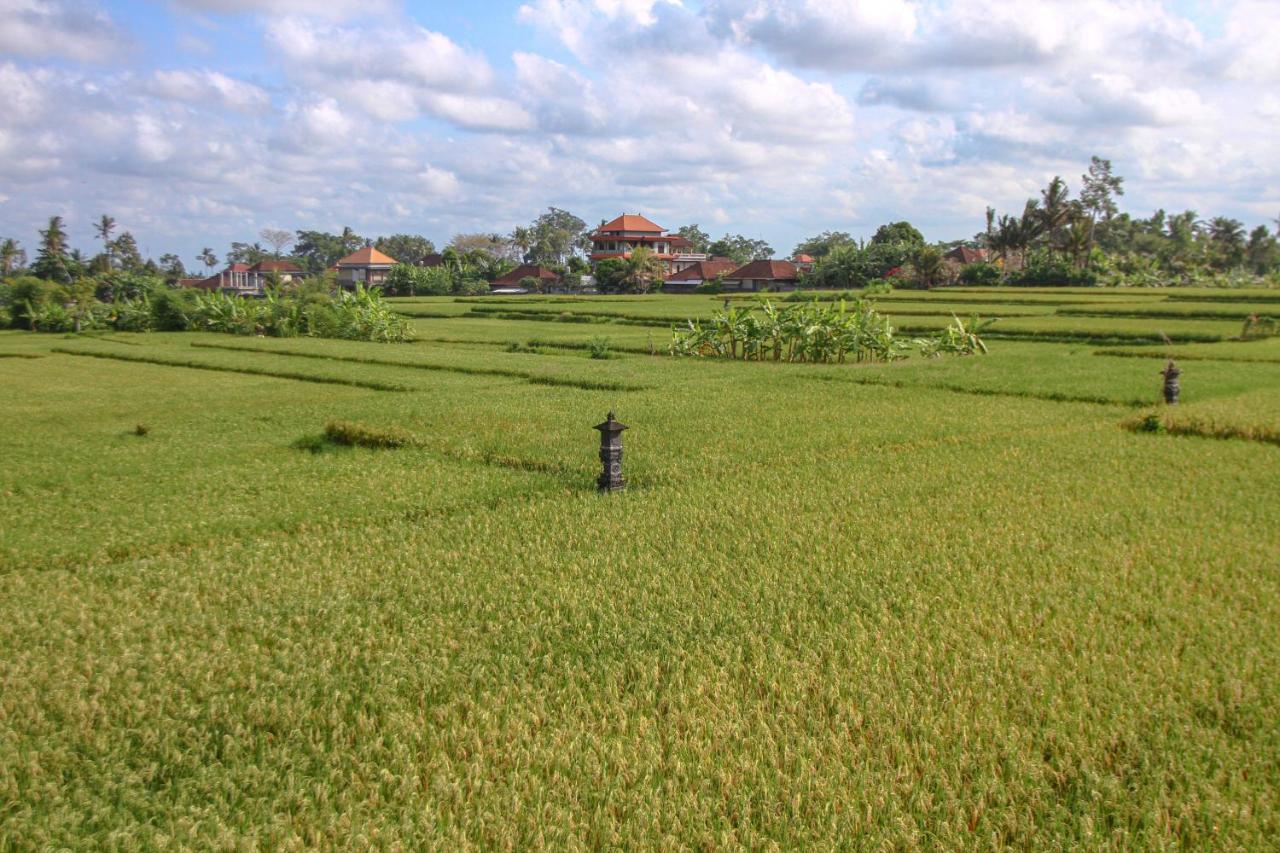 Kubu Sari Ubud Extérieur photo
