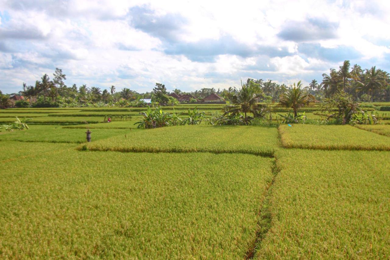 Kubu Sari Ubud Extérieur photo