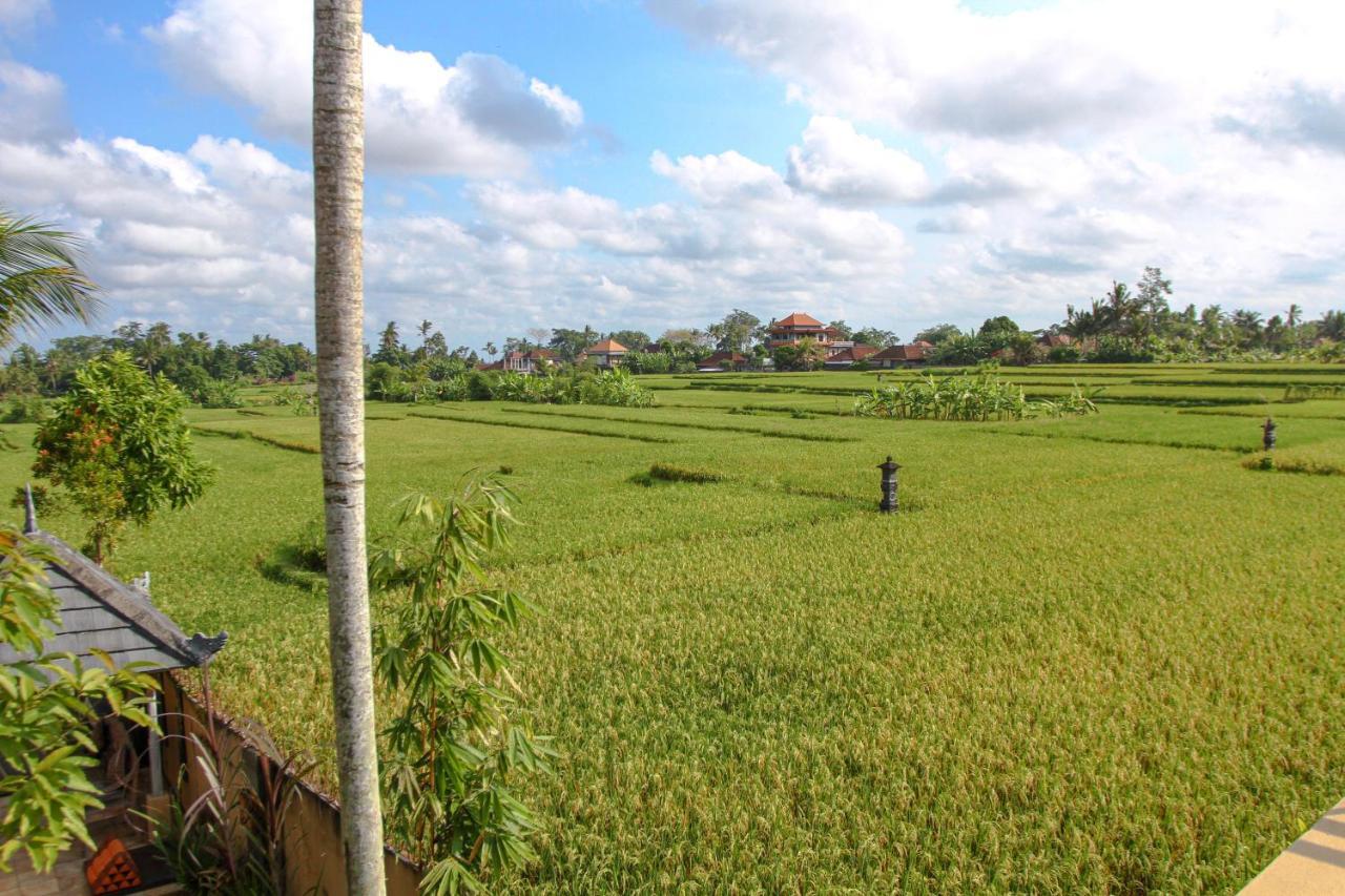 Kubu Sari Ubud Extérieur photo